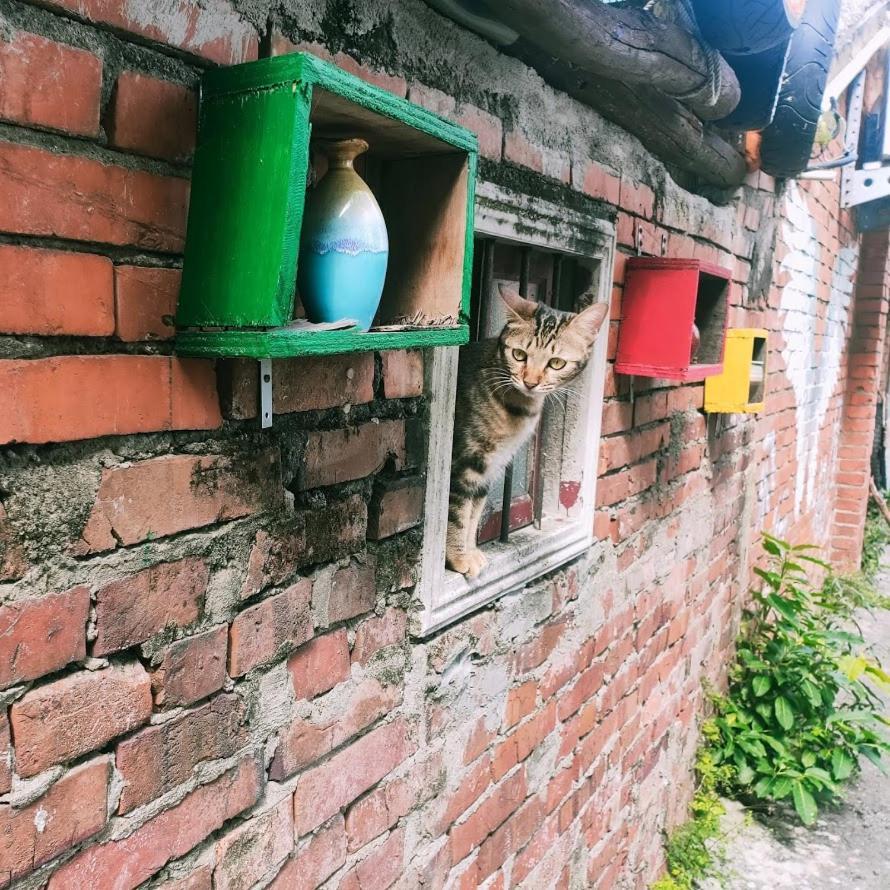 M Hostel貓客棧-清交大藝術眷村客棧 Синьчжу Экстерьер фото